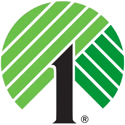 Dollar Tree